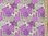 Hexagonal Patchwork Printed Polycotton Fabric (Lilac)