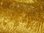 CLEARANCE: Crushed Effect Velvet (Gold) 60" wide SAVE 40%
