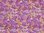 Remnant - Viscose Fabric (2.60mtrs)